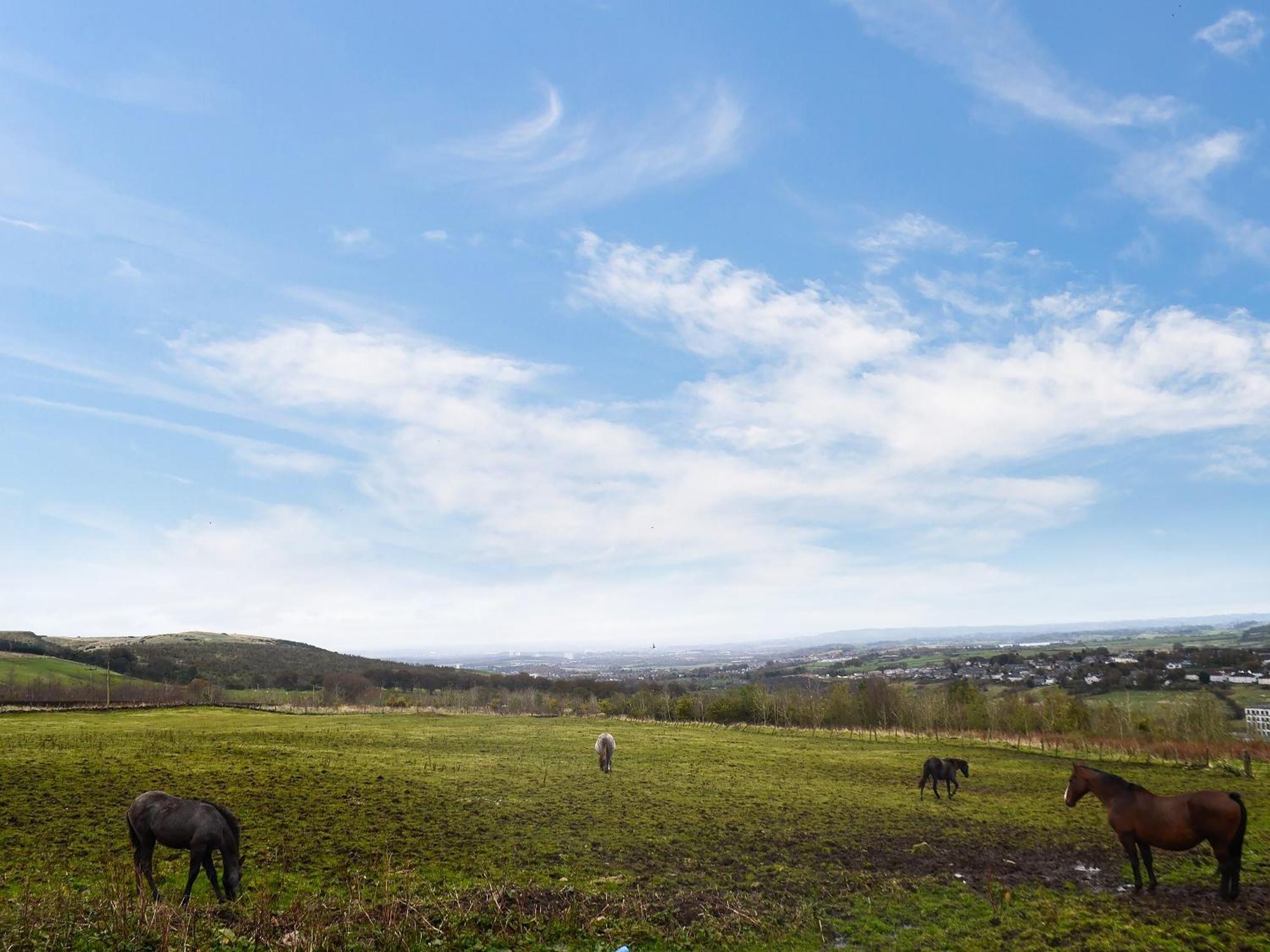 The Calving Shed Villa Neilston Buitenkant foto